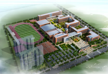 氹仔岛花园设计的测试内容